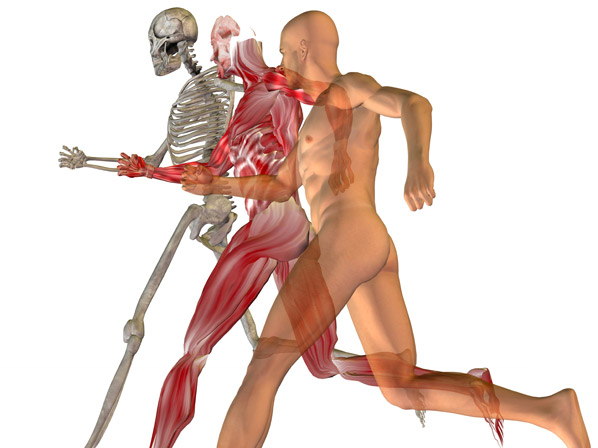 Lee más sobre el artículo ¿Qué es lo mejor para tus huesos?