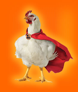 Lee más sobre el artículo Todo lo que necesitas saber sobre el pollo