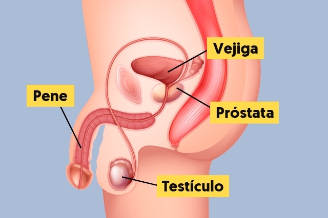 Lee más sobre el artículo Cáncer de próstata y consumo de leche
