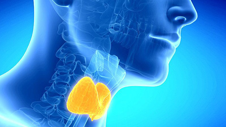 resistencia a la hormona tiroidea